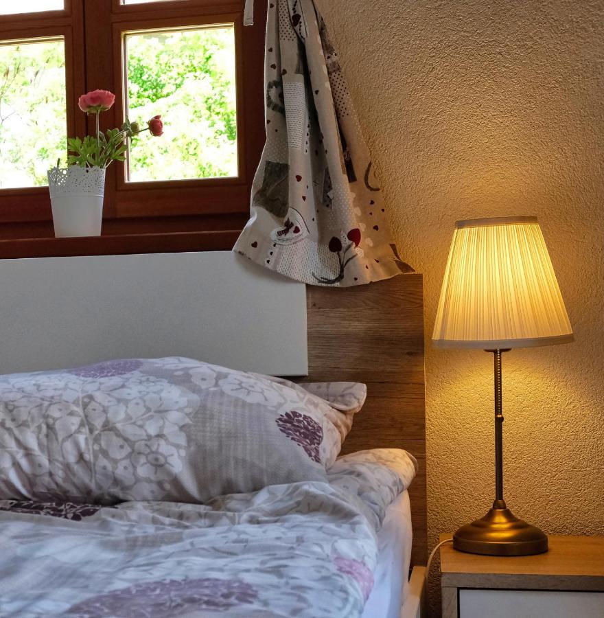 Jacobs Resort House Planica 克拉尼斯卡戈拉 外观 照片