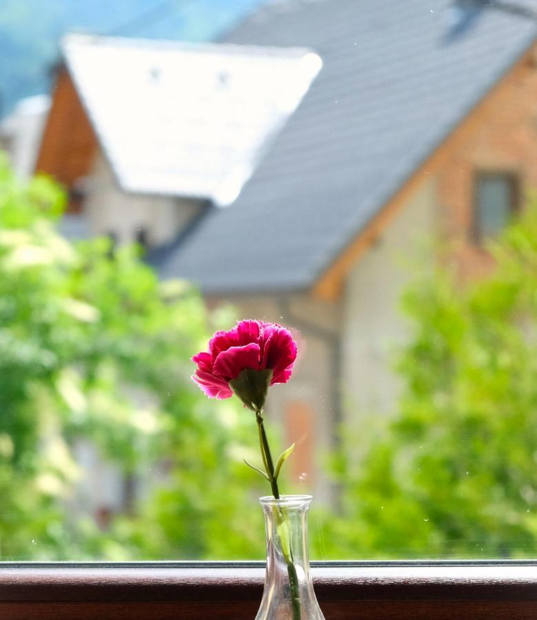 Jacobs Resort House Planica 克拉尼斯卡戈拉 外观 照片